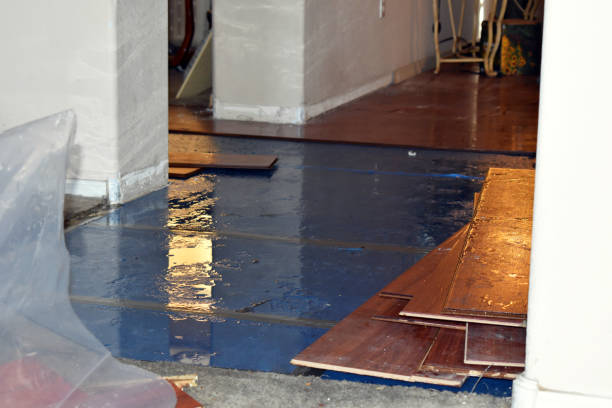Professional Water Damage Restoration technician working in Bath, IN